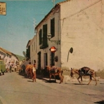 Burros entrando calle San Miguel-principios de los 60. Cedida por el Ayto. de Málaga